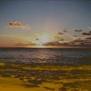 Orange Effect Sound Vocoder Effect