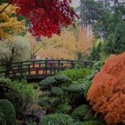 Bob James And David Sanborn Deep In The Weeds Quartette Humaine