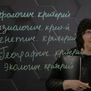 Вид Его Критерии И Структура 10 Класс