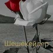 Шешекейлер Цветы Ногай Поэзия Зухра Булгарова