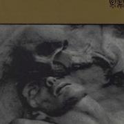 Gothic Sex Enigma