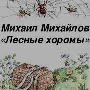 Михайлов Лесные Хоромы