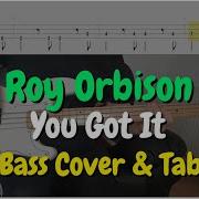 Roy Orbison You Got It Bass Cover