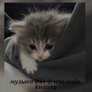 Speed Up Песни Из Тик Тока