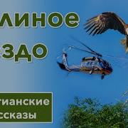 Интересный Христианский Рассказ Орлиное Гнездо Христианские Рассказы