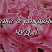 Слайд Шоу Дочке На День Рождения На 1 Годик