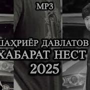 Шаҳриёр Давлатов 2025