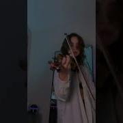 Brooklynbloodpop Biidan