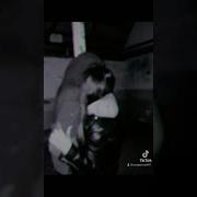 Не Сыпь Соль На Раны Не Нужен Я Ей