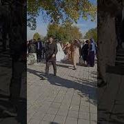 Туй Арусу Домод
