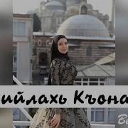 Линда Идрисова Дала Декъал Войла Хьо