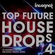 Incognet Future House Drops Vol 4 Samples