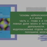 Основы Нейропсихологии А Р Лурия Прямой Эфир 7