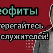 Осторожный Роман