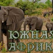 Приключения Трёх Русских И Трёх Англичан В Южной Африке