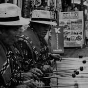Marimba Ringtone 2023
