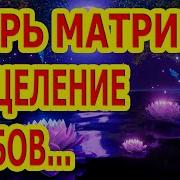 Полное Восстановление Зубов Матрица Гаряева Скачать Бесплатно