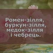 Пішли Діти В Поле Плюс