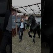 Адыгейская Музыка Про Коня