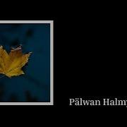 Pälwan Halmyradow Bagyşlamak Bolarmy