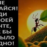 Как Бы Не Было Трудно Иди К Своей Мечте