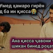 Киссаи Марди Тавба Шикан Ана Ира Кисса Меган Sadoi Umed