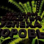 Поздравляем Адама С Днём Рождения Видео Открытка
