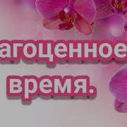 На Этой Земле Я Лишь Прохожий Пение
