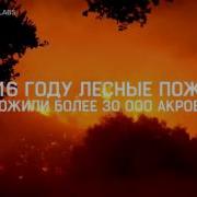 Лесные Пожары На Английском