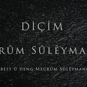 Mejrum Suleymanov Dchm