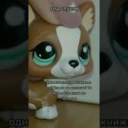 Если Бы Не Схожий Интерес Нас Бы Не Было Здесь