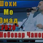 Нобовар Чаноров Шохи Мо Омаде