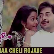 Na Cheli Rojave From Roja