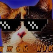 Песня От Куки Диджей Куки Мяу Feat Slivkishow