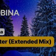 Bobina Winter Extended Mix