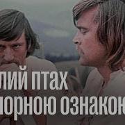 Тарас Бульба Смерть Остапа Видео Мр4 Скачать