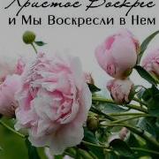 Мир Вам Христос Говорит Как И В Прошлом