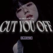 Cut You Off Blackpink