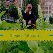Элдияр Айтматов