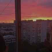 Свидетельство О Смерти Про Котенка Doomer Wave