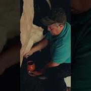 Почему Я Не Теленок Пью Коровье Молоко