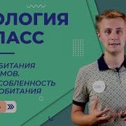 Биология 5 Класс 15 Параграф Среды Обитания