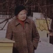 Медовый Полын