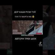 Шох Садои Баланд