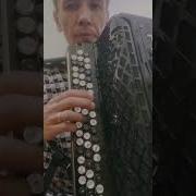 Светит Месяц Аккордион
