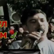 Точики 1999