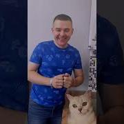 Не Шути Со Мной Не Шути