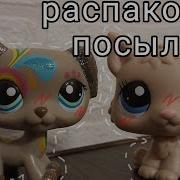 Новые Lps Распаковка Посылки