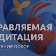 Тишиной Околдованный Скачать Бесплатно