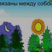 Природа Вокруг Нас
